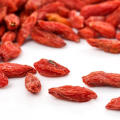 Ningxia fresh dried goji berries export kenya